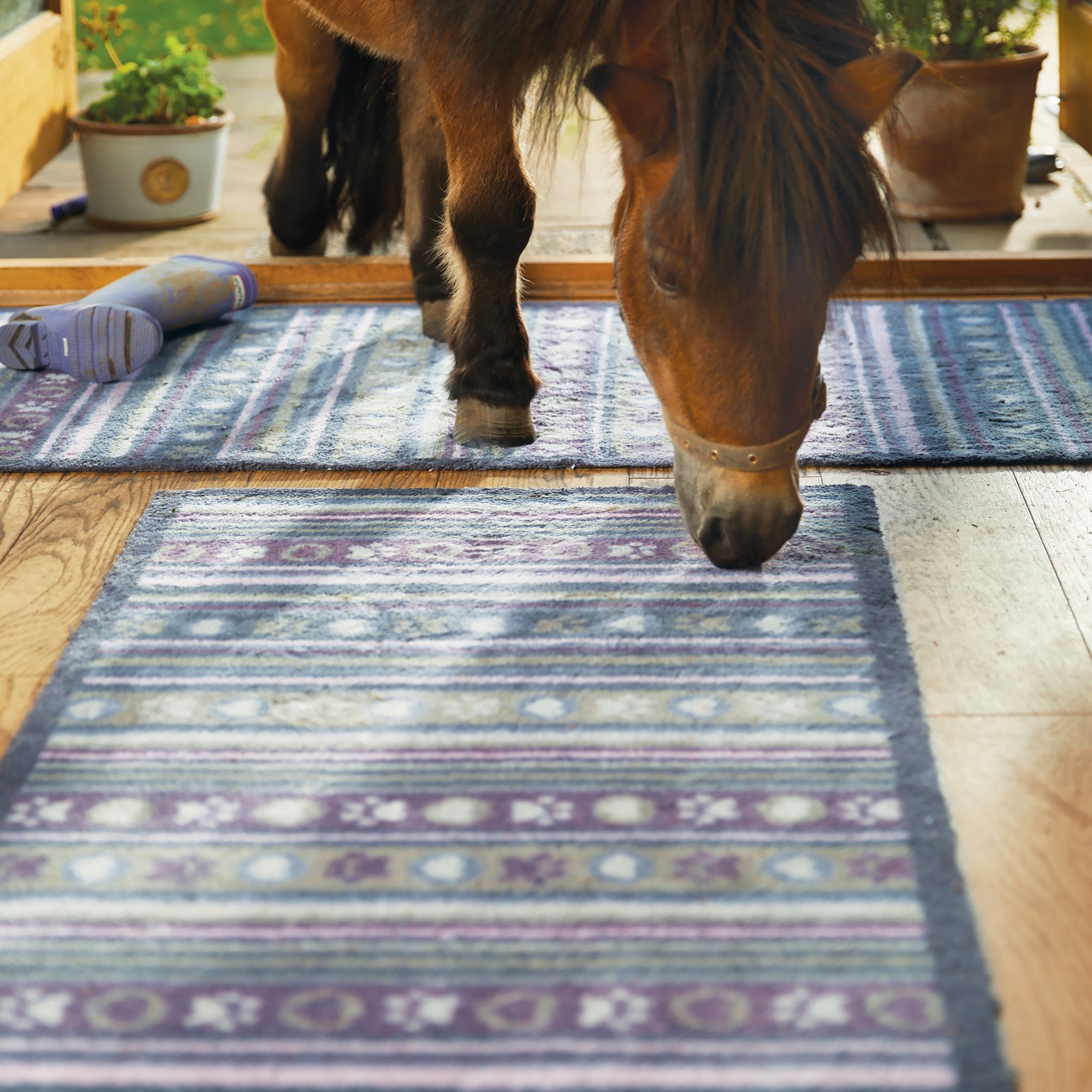 Hug Rug Pet 85 Washable Doormat In Purple